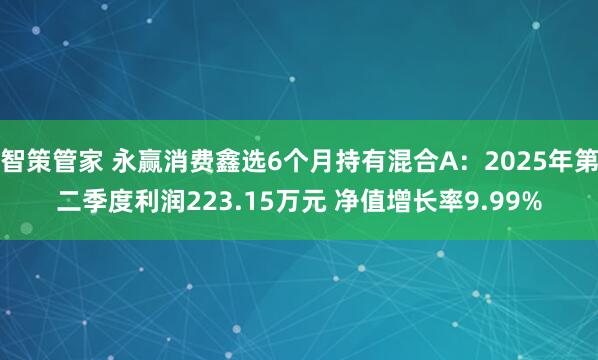 智策管家 永赢消费鑫选6个月持有混合A：2025年第二季度利润223.15万元 净值增长率9.99%