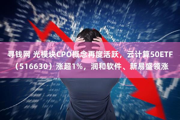 寻钱网 光模块CPO概念再度活跃，云计算50ETF（516630）涨超1%，润和软件、新易盛领涨