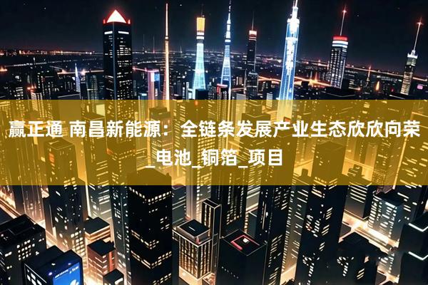 赢正通 南昌新能源：全链条发展产业生态欣欣向荣_电池_铜箔_项目