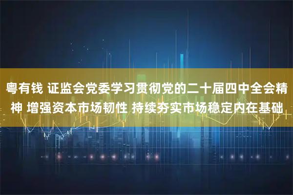 粤有钱 证监会党委学习贯彻党的二十届四中全会精神 增强资本市场韧性 持续夯实市场稳定内在基础