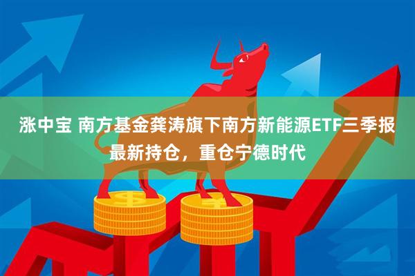 涨中宝 南方基金龚涛旗下南方新能源ETF三季报最新持仓，重仓宁德时代