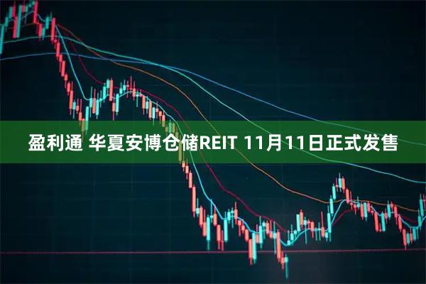 盈利通 华夏安博仓储REIT 11月11日正式发售